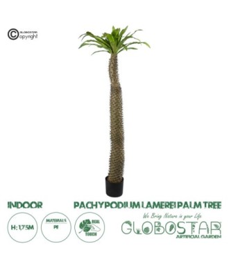 GloboStar® Artificial Garden PACHYPODIUM LAMEREI PALM TREE 20130 Τεχνητό Διακοσμητικό Φυτό Φοίνικας της Μαγαδασκάρης Υ175cm